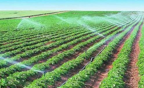 四虎骚穴农田高 效节水灌溉
